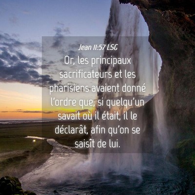 Picture 04 - Jean 11:57 LSG - Or, les principaux sacrificateurs et les - Bible Verse Picture