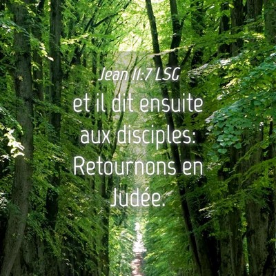 Picture 04 - Jean 11:7 LSG - et il dit ensuite aux disciples: Retournons en - Bible Verse Picture