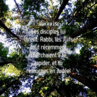 Picture 04 - Jean 11:8 LSG - Les disciples lui dirent: Rabbi, les Juifs tout - Bible Verse Picture