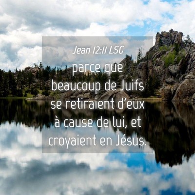 Picture 04 - Jean 12:11 LSG - parce que beaucoup de Juifs se retiraient d'eux - Bible Verse Picture