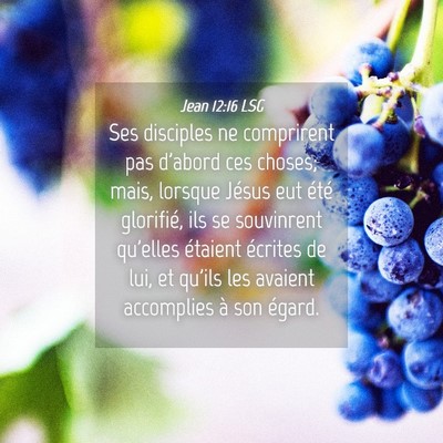 Picture 04 - Jean 12:16 LSG - Ses disciples ne comprirent pas d'abord ces - Bible Verse Picture