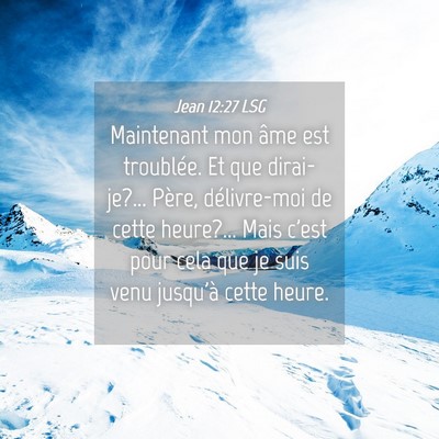 Picture 04 - Jean 12:27 LSG - Maintenant mon âme est troublée. Et que - Bible Verse Picture