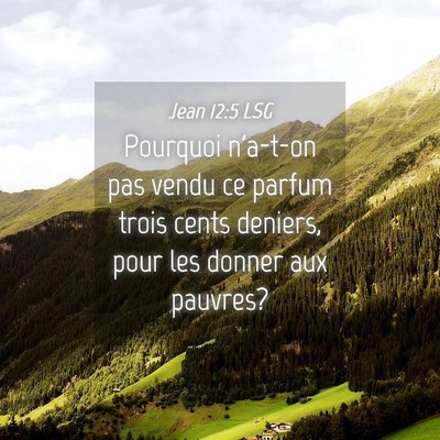 Picture 04 - Jean 12:5 LSG - Pourquoi n'a-t-on pas vendu ce parfum trois cents - Bible Verse Picture
