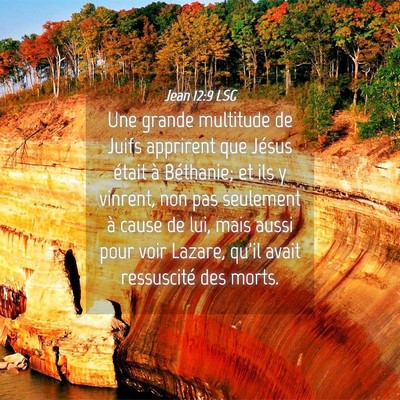 Picture 04 - Jean 12:9 LSG - Une grande multitude de Juifs apprirent que - Bible Verse Picture