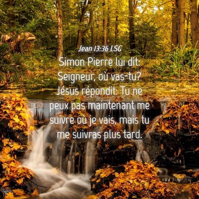 Picture 04 - Jean 13:36 LSG - Simon Pierre lui dit: Seigneur, où vas-tu? - Bible Verse Picture