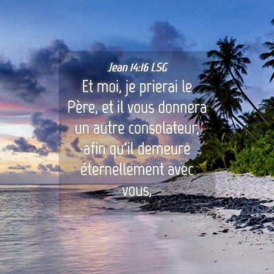 Picture 04 - Jean 14:16 LSG - Et moi, je prierai le Père, et il vous donnera - Bible Verse Picture