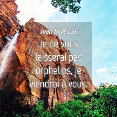 Picture 04 - Jean 14:18 LSG - Je ne vous laisserai pas orphelins, je viendrai - Bible Verse Picture