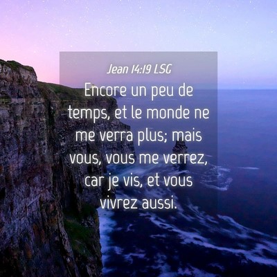 Picture 04 - Jean 14:19 LSG - Encore un peu de temps, et le monde ne me verra - Bible Verse Picture