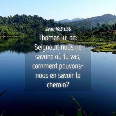 Picture 04 - Jean 14:5 LSG - Thomas lui dit: Seigneur, nous ne savons où tu - Bible Verse Picture