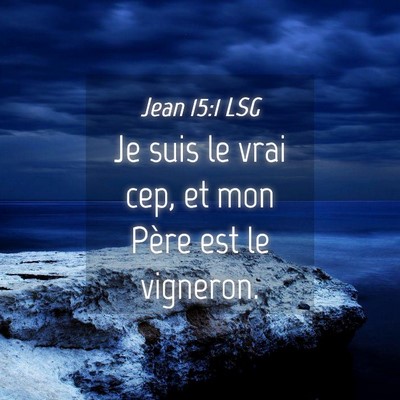Picture 04 - Jean 15:1 LSG - Je suis le vrai cep, et mon Père est le - Bible Verse Picture