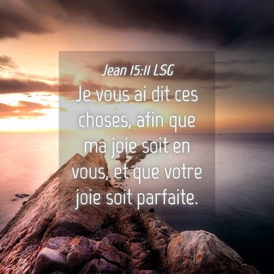 Picture 04 - Jean 15:11 LSG - Je vous ai dit ces choses, afin que ma joie soit - Bible Verse Picture