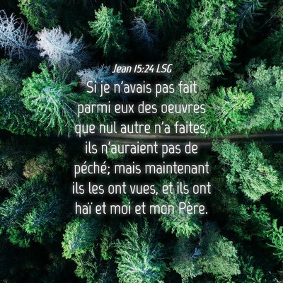 Picture 04 - Jean 15:24 LSG - Si je n'avais pas fait parmi eux des oeuvres que - Bible Verse Picture