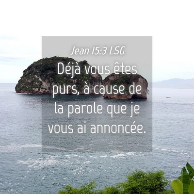 Picture 04 - Jean 15:3 LSG - Déjà vous êtes purs, à cause de la parole que - Bible Verse Picture