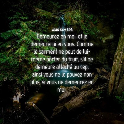 Picture 04 - Jean 15:4 LSG - Demeurez en moi, et je demeurerai en vous. Comme - Bible Verse Picture