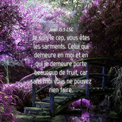 Picture 04 - Jean 15:5 LSG - Je suis le cep, vous êtes les sarments. Celui - Bible Verse Picture