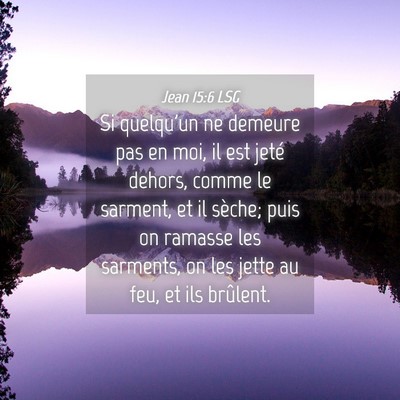 Picture 04 - Jean 15:6 LSG - Si quelqu'un ne demeure pas en moi, il est jeté - Bible Verse Picture