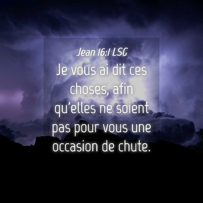 Picture 04 - Jean 16:1 LSG - Je vous ai dit ces choses, afin qu'elles ne - Bible Verse Picture