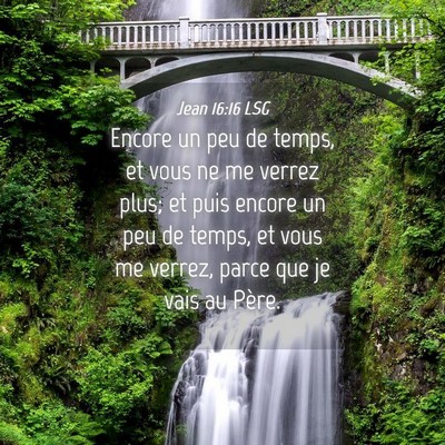 Picture 04 - Jean 16:16 LSG - Encore un peu de temps, et vous ne me verrez - Bible Verse Picture