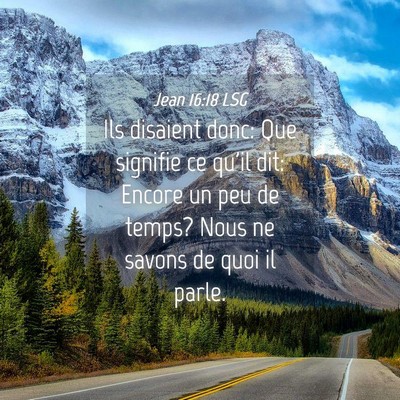 Picture 04 - Jean 16:18 LSG - Ils disaient donc: Que signifie ce qu'il dit: - Bible Verse Picture