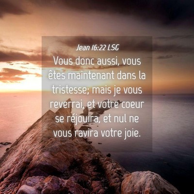 Picture 04 - Jean 16:22 LSG - Vous donc aussi, vous êtes maintenant dans la - Bible Verse Picture