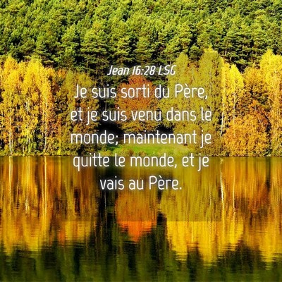 Picture 04 - Jean 16:28 LSG - Je suis sorti du Père, et je suis venu dans le - Bible Verse Picture
