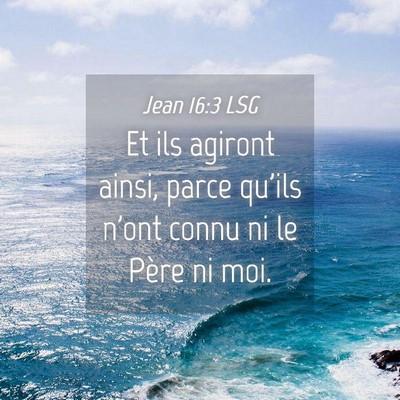 Picture 04 - Jean 16:3 LSG - Et ils agiront ainsi, parce qu'ils n'ont connu ni - Bible Verse Picture