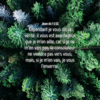 Picture 04 - Jean 16:7 LSG - Cependant je vous dis la vérité: il vous est - Bible Verse Picture