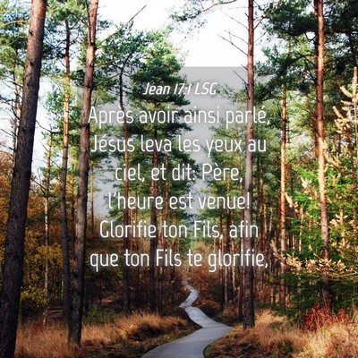 Picture 04 - Jean 17:1 LSG - Après avoir ainsi parlé, Jésus leva les yeux - Bible Verse Picture