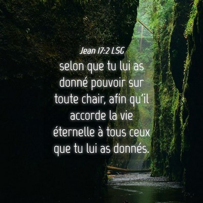 Picture 04 - Jean 17:2 LSG - selon que tu lui as donné pouvoir sur toute - Bible Verse Picture