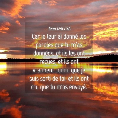 Picture 04 - Jean 17:8 LSG - Car je leur ai donné les paroles que tu m'as - Bible Verse Picture
