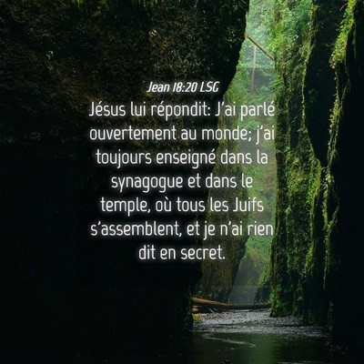 Picture 04 - Jean 18:20 LSG - Jésus lui répondit: J'ai parlé ouvertement au - Bible Verse Picture