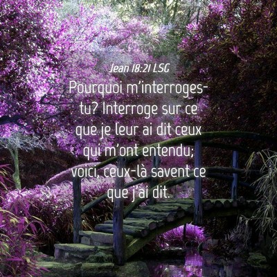 Picture 04 - Jean 18:21 LSG - Pourquoi m'interroges-tu? Interroge sur ce que je - Bible Verse Picture