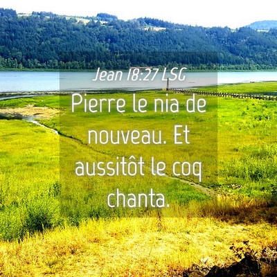 Picture 04 - Jean 18:27 LSG - Pierre le nia de nouveau. Et aussitôt le coq - Bible Verse Picture