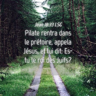 Picture 04 - Jean 18:33 LSG - Pilate rentra dans le prétoire, appela Jésus, - Bible Verse Picture