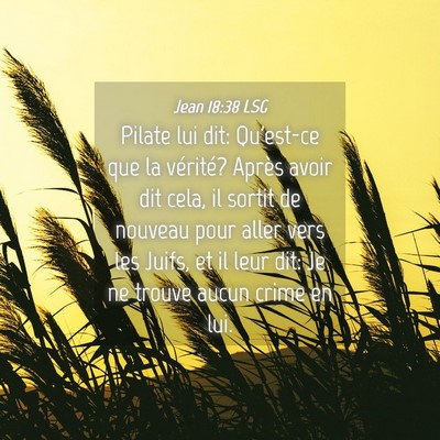 Picture 04 - Jean 18:38 LSG - Pilate lui dit: Qu'est-ce que la vérité? Après - Bible Verse Picture