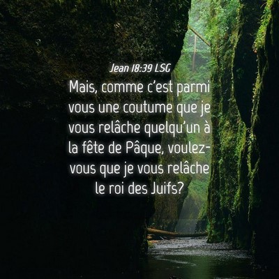 Picture 04 - Jean 18:39 LSG - Mais, comme c'est parmi vous une coutume que je - Bible Verse Picture