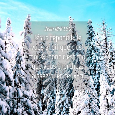 Picture 04 - Jean 18:8 LSG - Jésus répondit: Je vous ai dit que c'est moi. - Bible Verse Picture