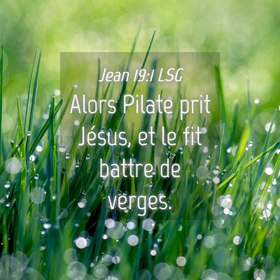 Picture 04 - Jean 19:1 LSG - Alors Pilate prit Jésus, et le fit battre de - Bible Verse Picture