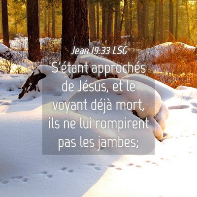 Picture 04 - Jean 19:33 LSG - S'étant approchés de Jésus, et le voyant - Bible Verse Picture