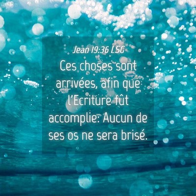 Picture 04 - Jean 19:36 LSG - Ces choses sont arrivées, afin que l'Ecriture - Bible Verse Picture