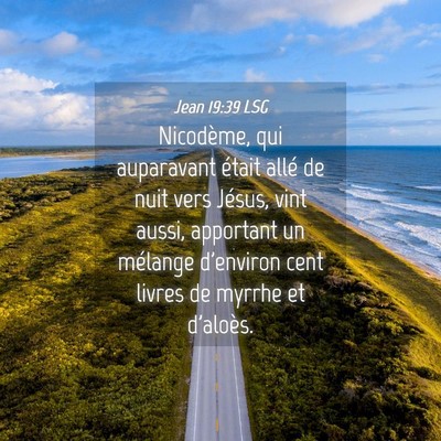 Picture 04 - Jean 19:39 LSG - Nicodème, qui auparavant était allé de nuit - Bible Verse Picture