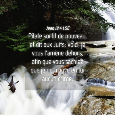Picture 04 - Jean 19:4 LSG - Pilate sortit de nouveau, et dit aux Juifs: - Bible Verse Picture