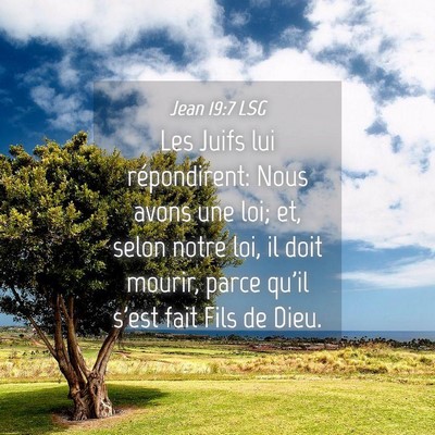 Picture 04 - Jean 19:7 LSG - Les Juifs lui répondirent: Nous avons une loi; - Bible Verse Picture
