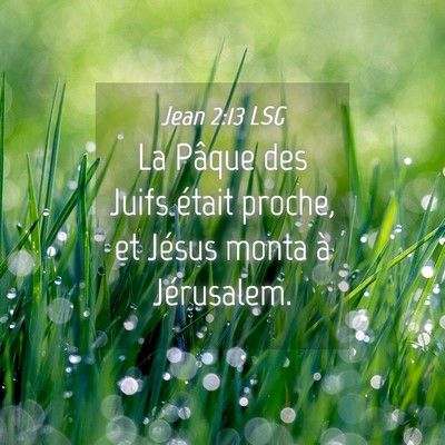 Picture 04 - Jean 2:13 LSG - La Pâque des Juifs était proche, et Jésus - Bible Verse Picture