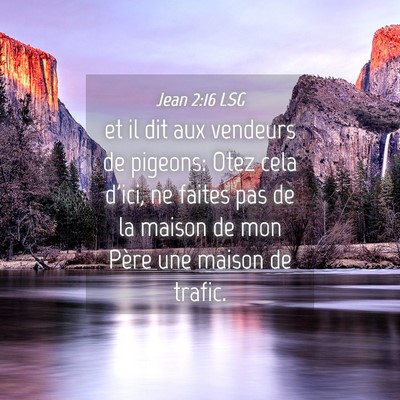 Picture 04 - Jean 2:16 LSG - et il dit aux vendeurs de pigeons: Otez cela - Bible Verse Picture
