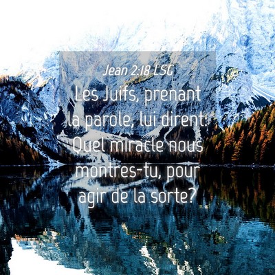 Picture 04 - Jean 2:18 LSG - Les Juifs, prenant la parole, lui dirent: Quel - Bible Verse Picture
