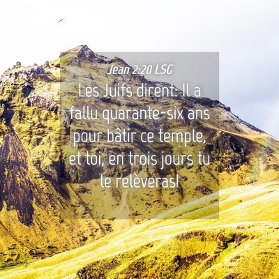 Picture 04 - Jean 2:20 LSG - Les Juifs dirent: Il a fallu quarante-six ans - Bible Verse Picture