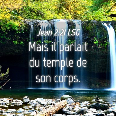Picture 04 - Jean 2:21 LSG - Mais il parlait du temple de son - Bible Verse Picture