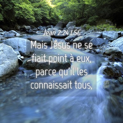 Picture 04 - Jean 2:24 LSG - Mais Jésus ne se fiait point à eux, parce qu'il - Bible Verse Picture
