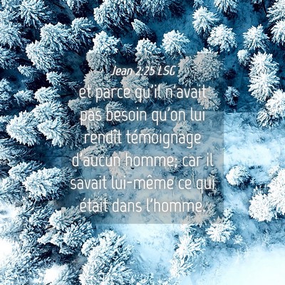 Picture 04 - Jean 2:25 LSG - et parce qu'il n'avait pas besoin qu'on lui - Bible Verse Picture